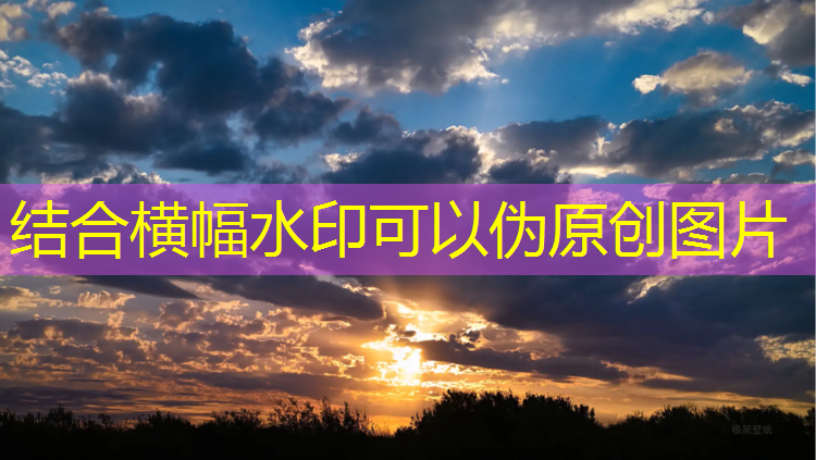 塑胶跑道材料开发