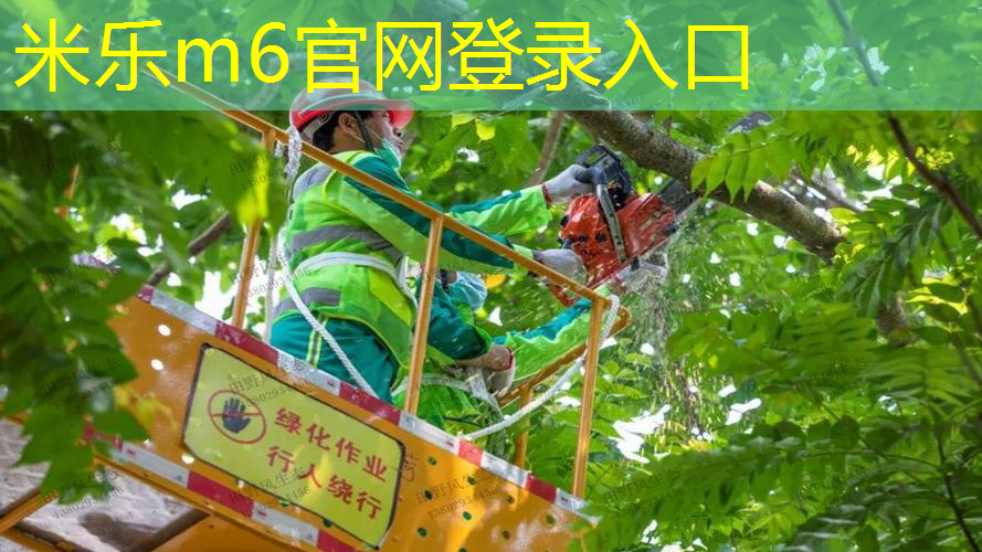 米乐m6官网登录入口：网球拍面104英寸是多少
