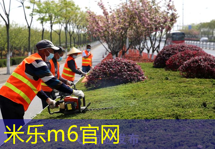 米乐m6官网：网球拍带的玩具有哪些