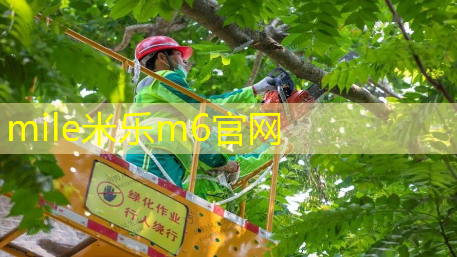 mile·米乐m6：选修课用网球拍好吗_