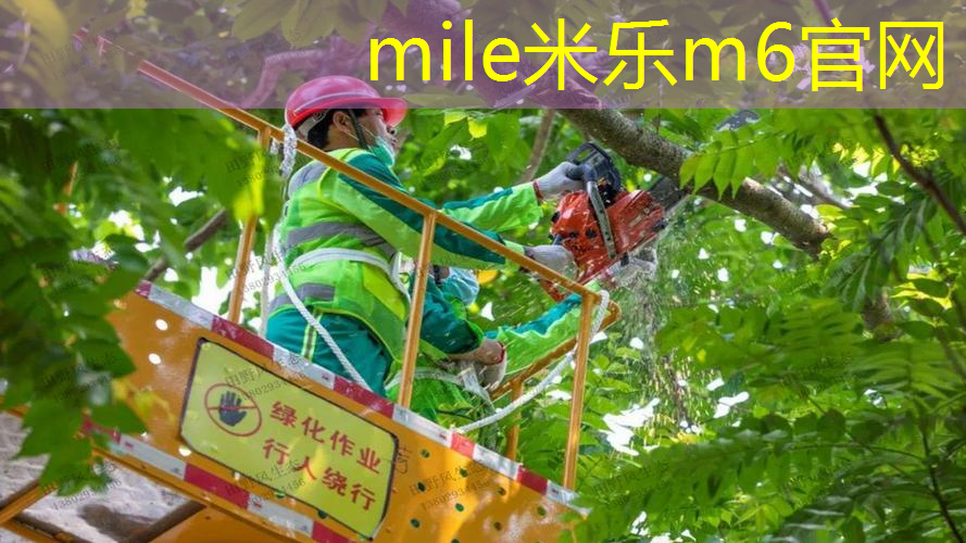 米乐m6官网登录入口：网球拍线的缠法图解