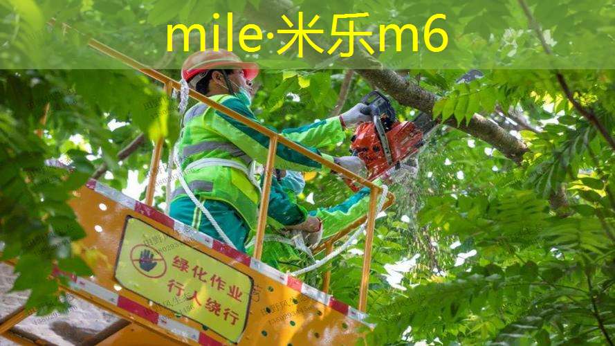 米乐：费德勒大拍面网球拍