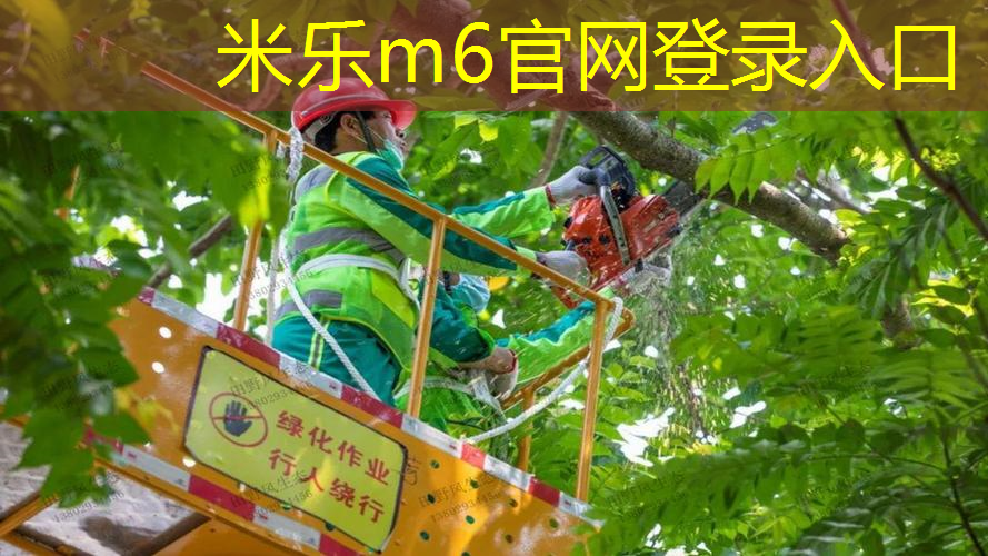 米乐m6官网登录入口：体育课网球拍选择什么材质