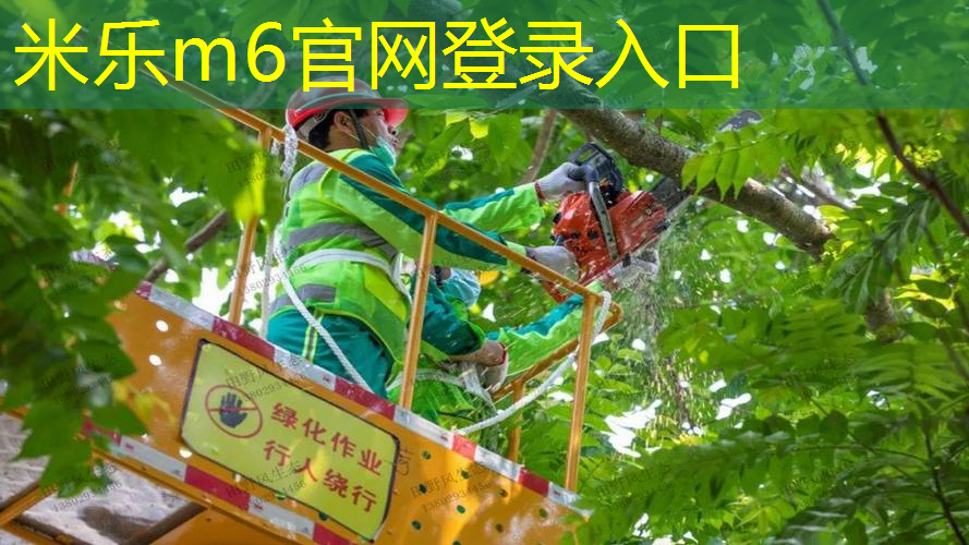 米乐：儿童网球拍的亲子游戏