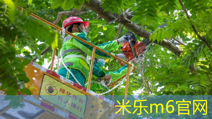 mile·米乐m6：网球拍轴旋转原理图讲解