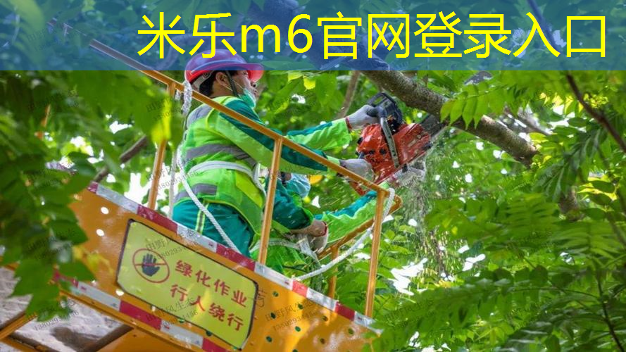 三条纹阿迪达斯网球拍
