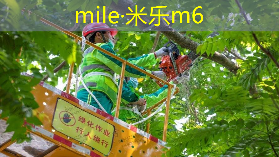 网球拍如何加铝片胶皮