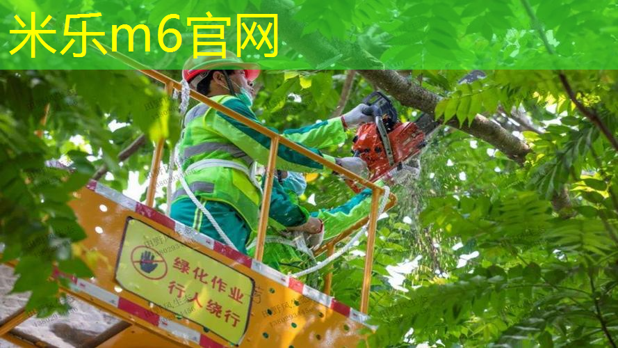 米乐m6官网：带网球拍出门怎么打