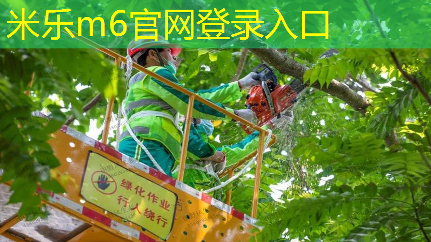 米乐：儿童自动回弹网球拍好吗_