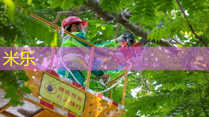 打变形的网球拍好吗_