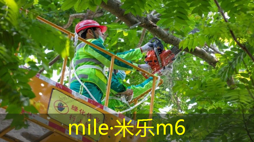 米乐m6官网：一只网球拍线多长厘米