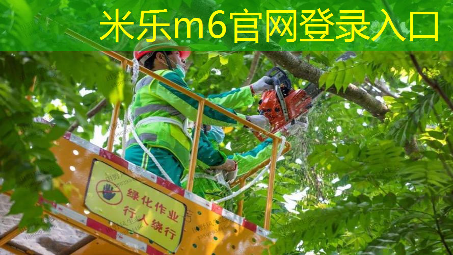 王子经典网球拍有哪款球杆