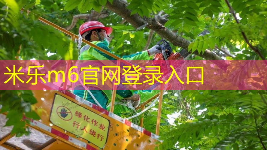 米乐：用网球拍拉伸的好处和坏处