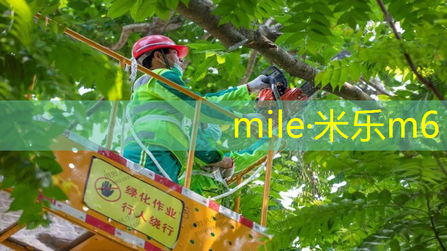 mile·米乐m6：网球拍头下垂怎么调整方向