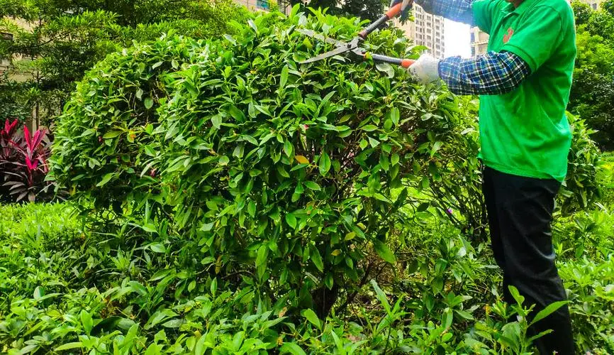 mile米乐m6官网：网球拍多久拉线好一点
