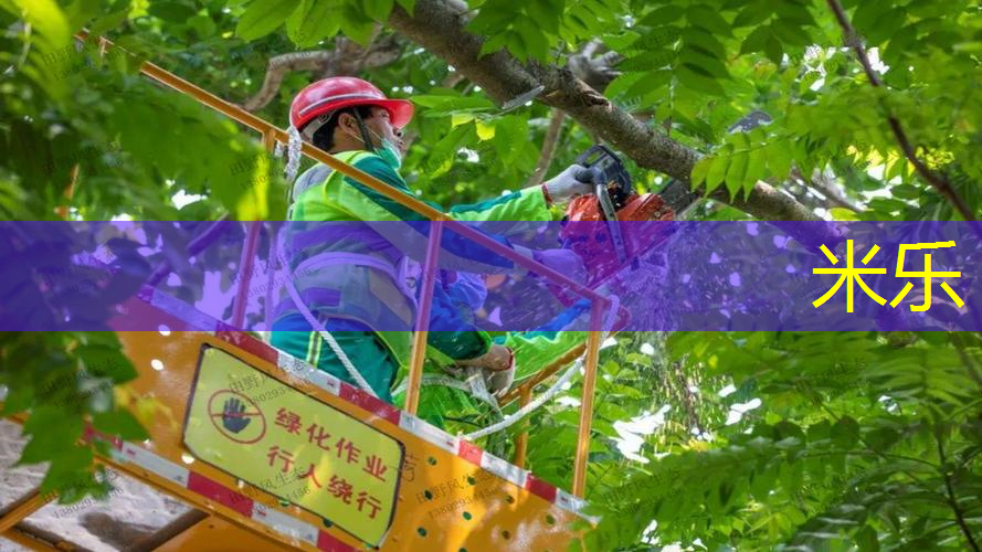 mile·米乐m6：铝合金网球拍穿线多少磅