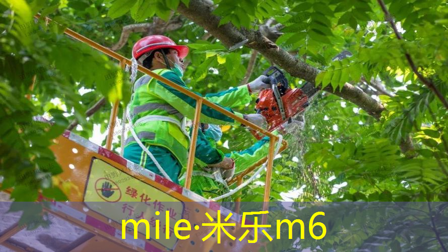 mile米乐m6官网：纳达尔网球拍的硬度是多少