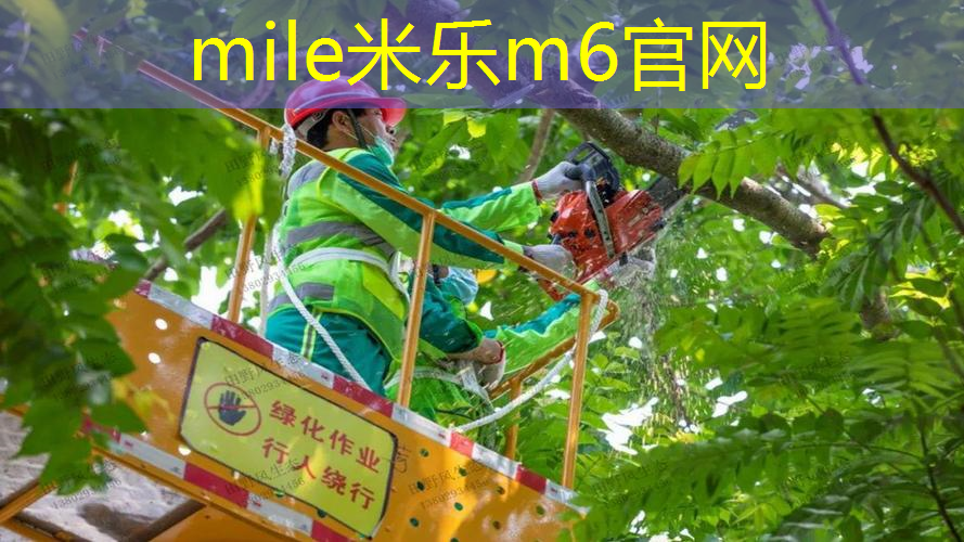 米乐m6官网登录入口：精确技巧，安全受益：学习标准动作吊单杠的正确方法！