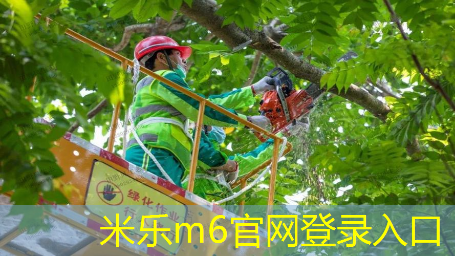 擦乒乓球台