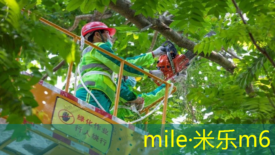 mile·米乐m6：室内健身房是什么意思啊