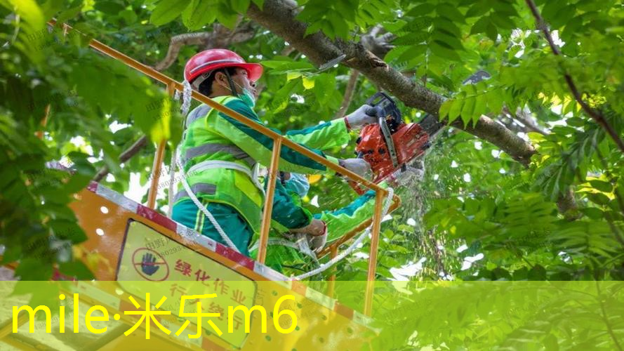 mile·米乐m6：室内多少度适合锻炼健身
