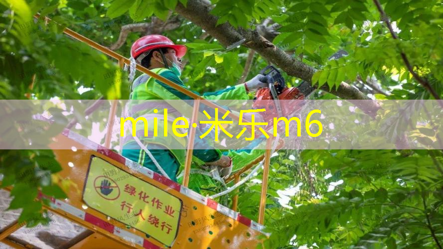 mile米乐m6官网：实心球 心理放松