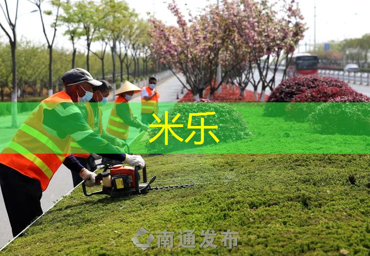 网球拍带的玩具有哪些