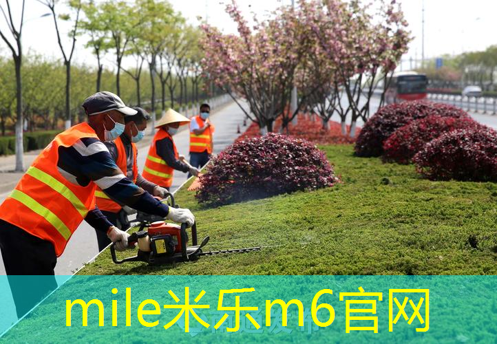 网球拍价格表是多少