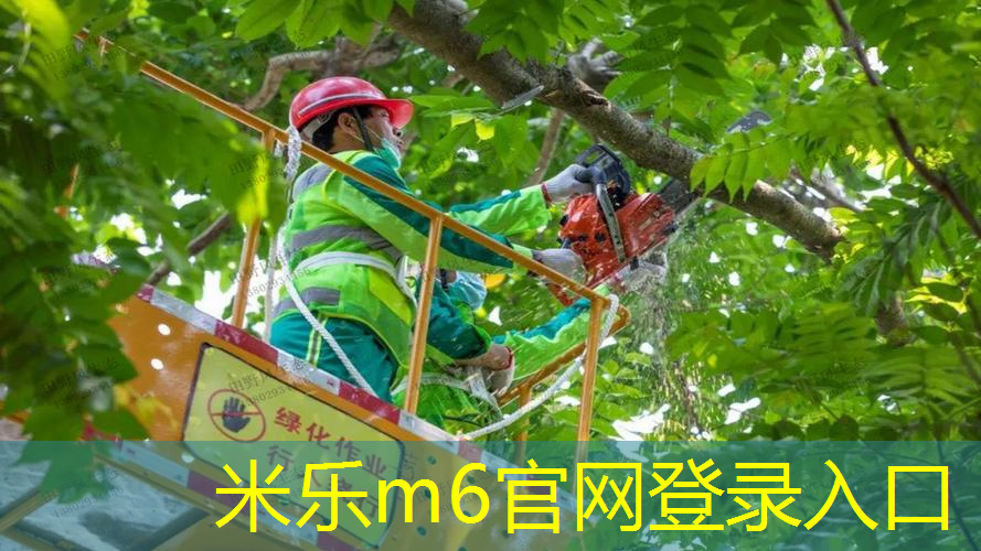 选修课用网球拍好吗_