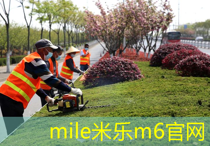 网球拍的作用是什么呢