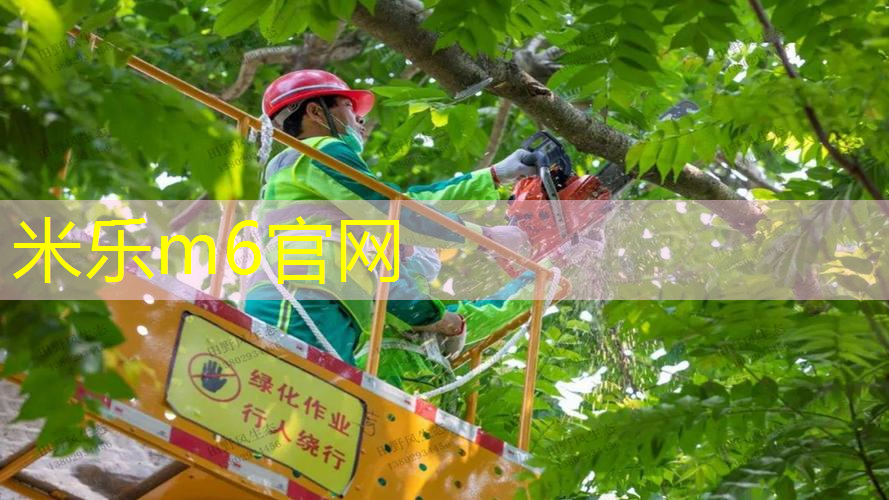 网球拍线的缠法图解