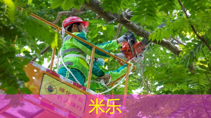 费德勒大拍面网球拍