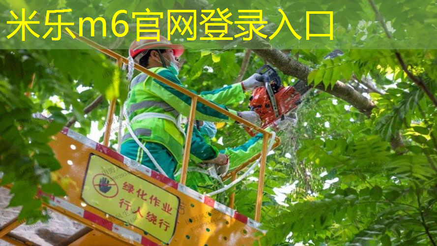 网球拍接球容易反拍是什么原因