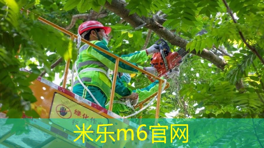 儿童网球拍的亲子游戏