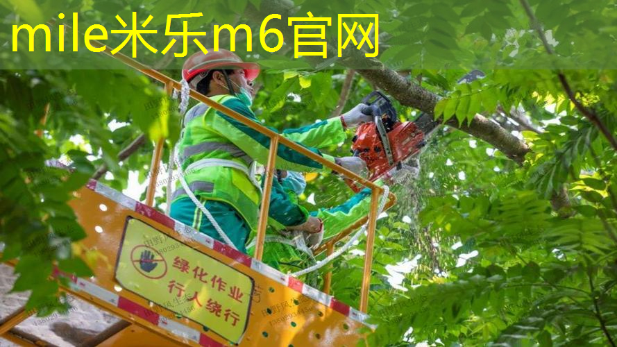三条纹阿迪达斯网球拍