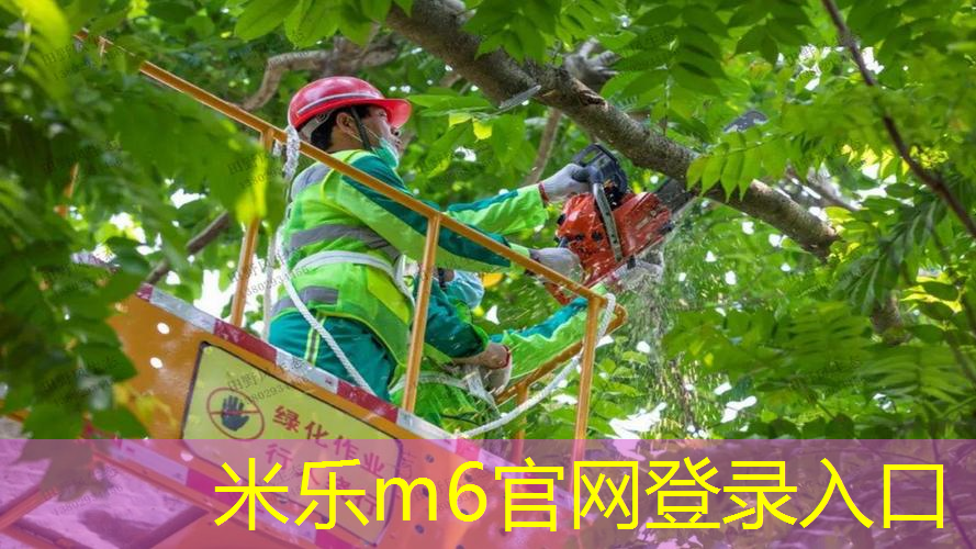 网球拍如何加铝片胶皮
