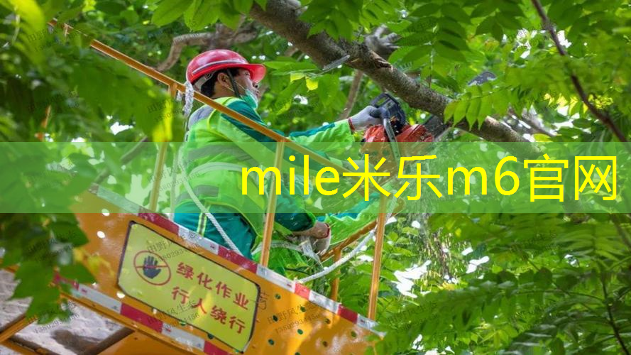 带网球拍出门怎么打