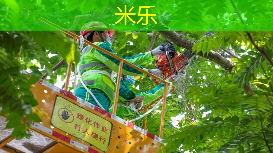 儿童自动回弹网球拍好吗_