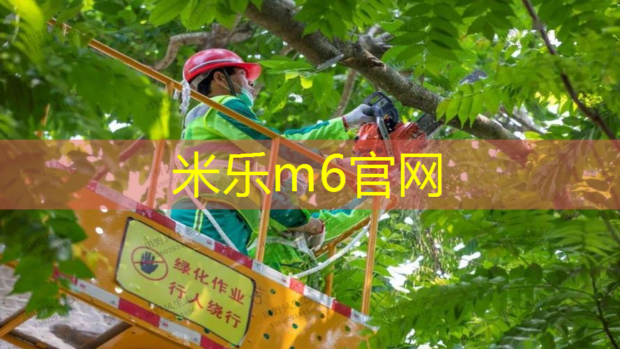 打变形的网球拍好吗_