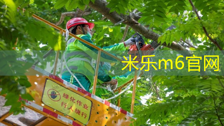 一只网球拍线多长厘米