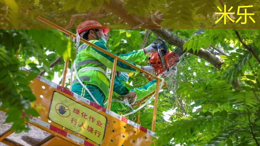 王子经典网球拍有哪款球杆