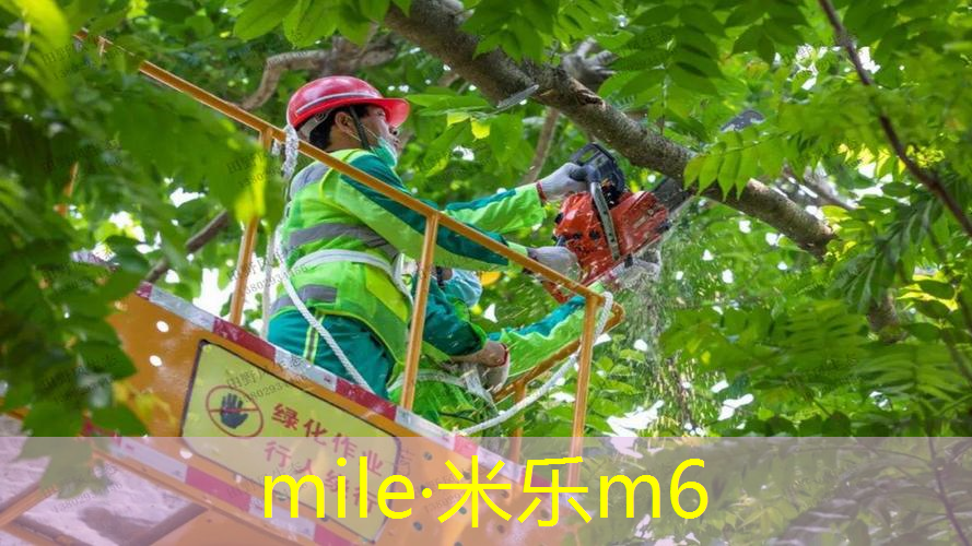 用网球拍拉伸的好处和坏处