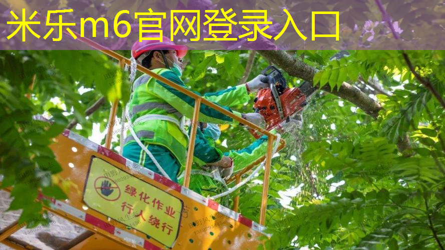 铝合金网球拍穿线多少磅