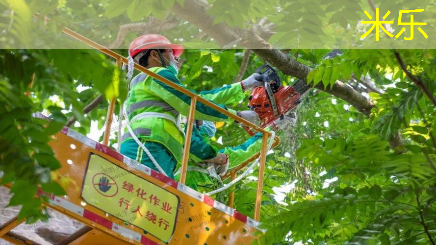 网球拍线上有毛刺正常吗_