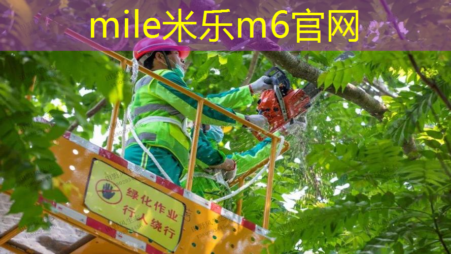 纳达尔网球拍的硬度是多少
