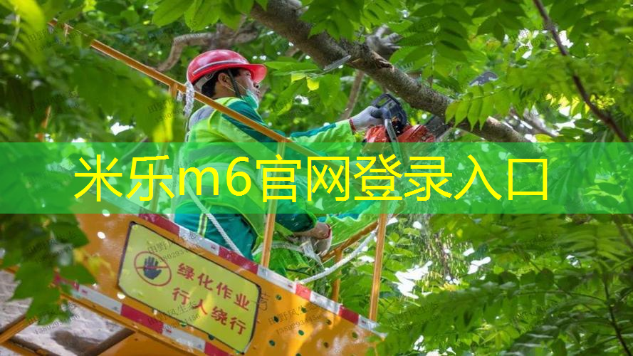 精确技巧，安全受益：学习标准动作吊单杠的正确方法！