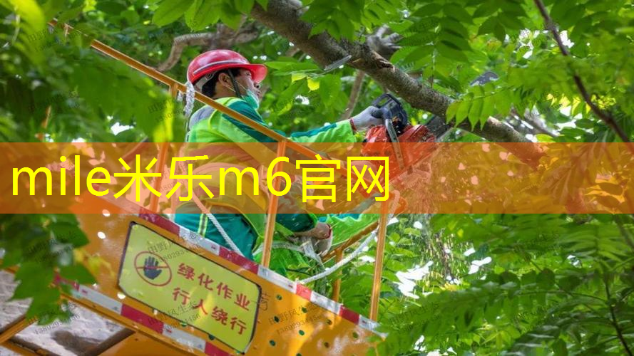 擦乒乓球台