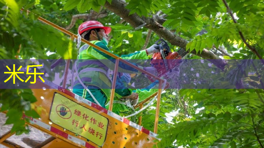 室内健身房是什么意思啊