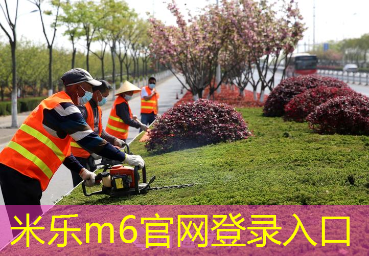解锁肌肉潜力：户外臂力训练器的有效练习方法