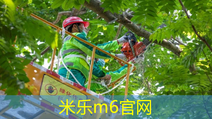 实心球 心理放松